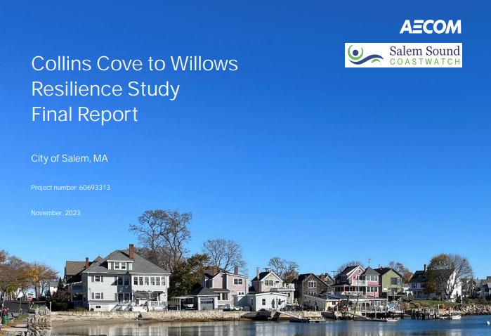 User-set case study image