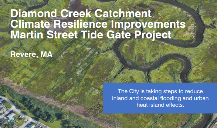 User-set case study image