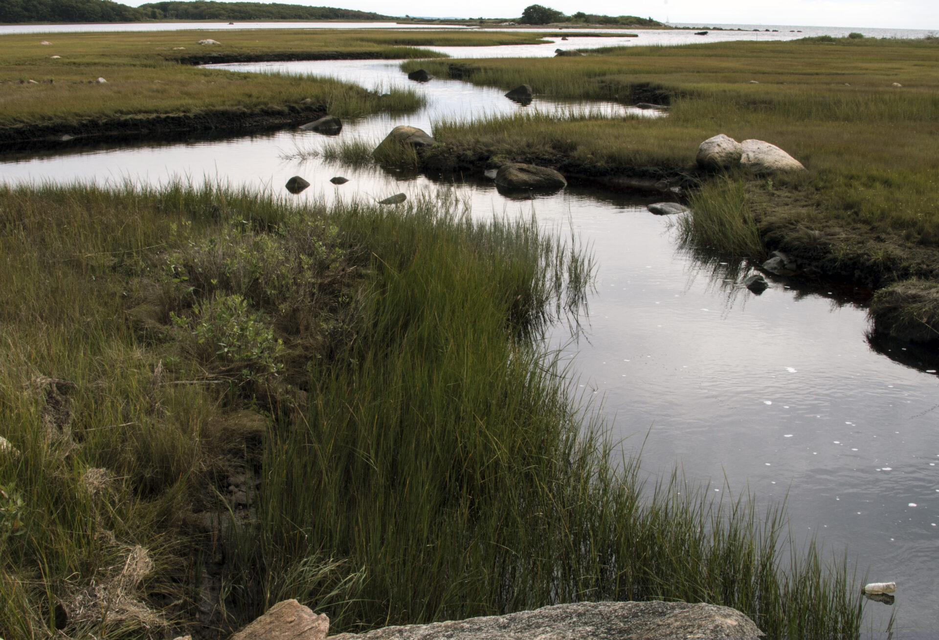 User-set case study image