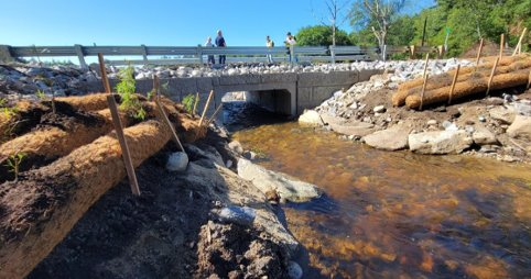 User-set case study image